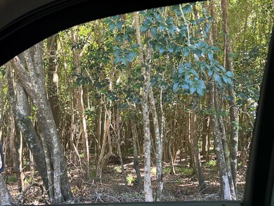 0 University Ave unit 25726, Troy, GA 30681 - photo 3