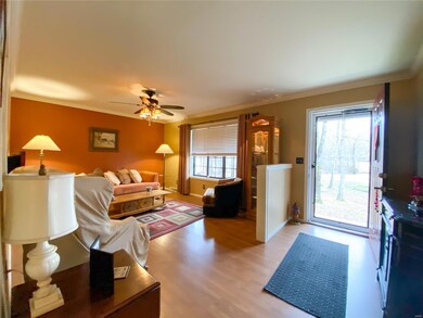 204 County Road 452, Poplar Bluff, MO 63901 - photo 7