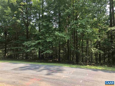 398 Stone Chimneys Rd unit I5, Nellysford, VA 22958 - photo 2