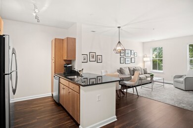 3 Repton Cir unit 3107, Watertown, MA 02472 - photo 5