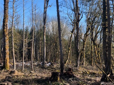 22 Nickelbush Rd, Quilcene, WA 98376 - photo 6