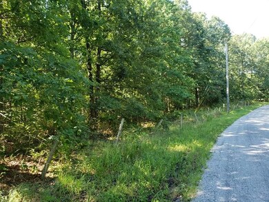 1081 Edenway Rd, Dover, TN 37058 - photo 5