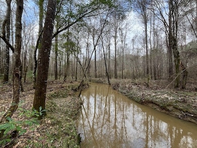 920b Auburn Dr SW, Bogue Chitto, MS 39629 - photo 3