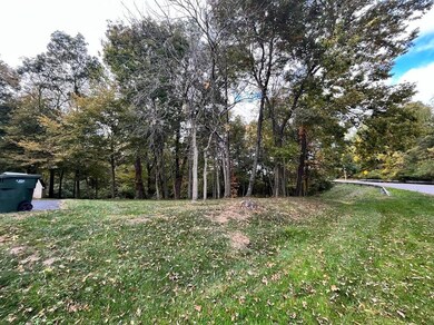 3227 Oak Spring St matured trees