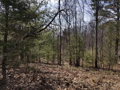 8821 30th Ave, Merrill Township, MI 49309 - photo 6