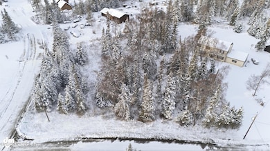 46110 Spruce Place, Nikiski, AK 99611 - photo 3