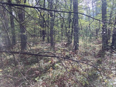 PAR 1 Cleveland Dr W, Lilley Township, MI 49309 - photo 3