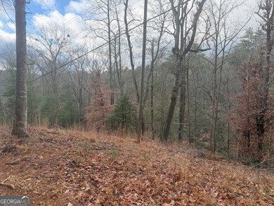 0 Corinth Church Rd unit 10656398, Cleveland, GA 30528 - photo 3