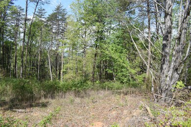 0 Winter Ln unit Lot 7 CAR4280434, Mill Spring, NC 28756 - photo 3