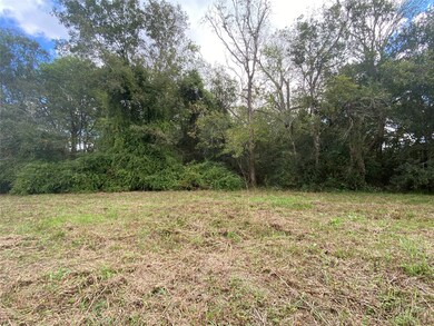 00000 Oak Bend Dr, Alvin, TX 77511 - photo 3