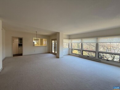 Lewis & Clark Building unit 402, Charlottesville, VA 22902 - photo 4