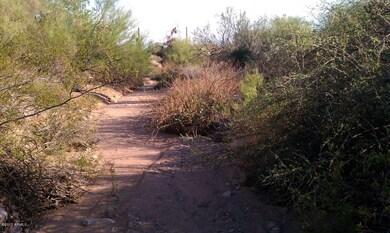 Natural arroyo