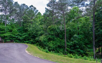 Additional View