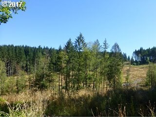 12267 S Groshong Rd, Molalla, OR 97038 - photo 7