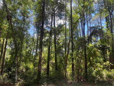 0 Owl Ln unit 378192, Wakulla, FL 32327 - photo 2