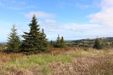 34371 Bluegrass St, Anchor Point, AK 99556 - photo 6