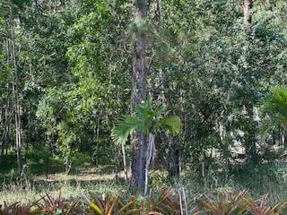 000 129th Ave N, the Acreage, FL 33411 - photo 7