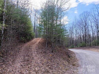 Lot 56 Big Branch Rd unit 56A, Brevard, NC 28712 - photo 7