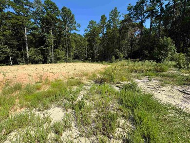 130 Ashcreek Ln unit lots 130,131, Brookeland, TX 75931 - photo 5