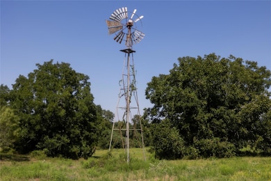 View of local wilderness