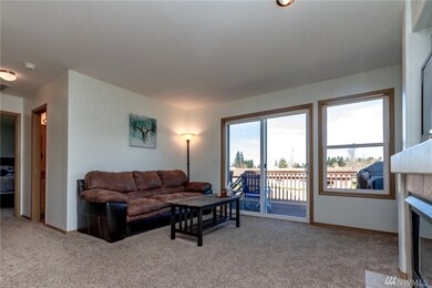 10303 249th Street Ct E, Graham, WA 98338 - photo 4