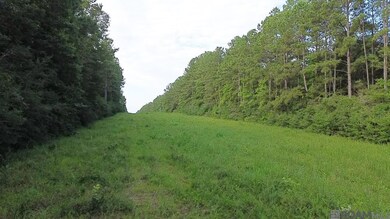 TBD Aunt Margies Rd, Greensburg, LA 70441 - photo 5
