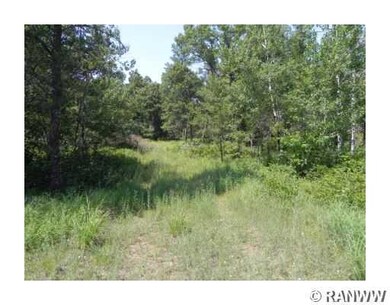 29047 Pardun Rd, Danbury, WI 54830 - photo 4