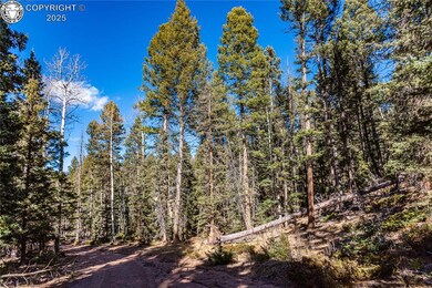 TBD Arrowhead Rd, Florissant, CO 80816 - photo 6