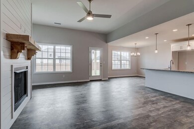 4196VeniceAveOzarkMO-10