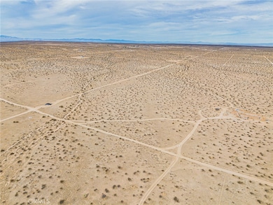 20554 E Avenue H 8, Hi Vista, CA 93535 - photo 5