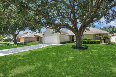 Double Driveway with two beautiful trees...