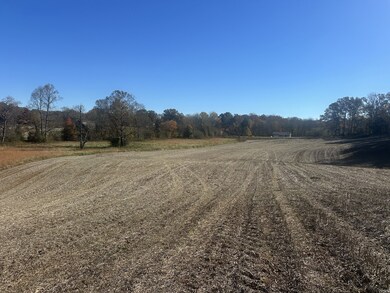 0 Old Kentucky Rd, Sparta, TN 38583 - photo 4