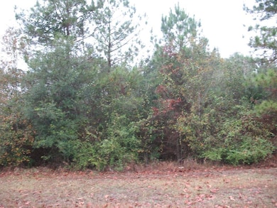 165 White Oak Ln, Lufkin, TX 75904 - photo 5