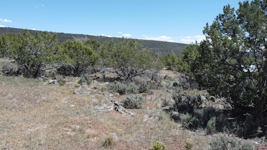 TBD Surface Creek Rd, Cedaredge, CO 81413 - photo 4