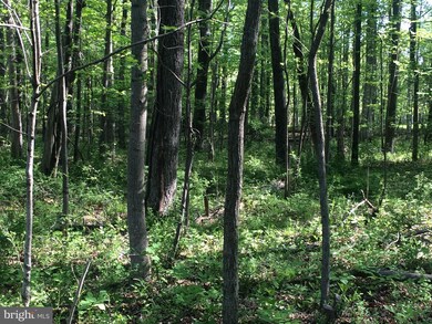 0 Mount Gilead Rd unit VALO397320, Leesburg, VA 20175 - photo 2