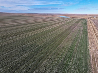 Sansarc Rd, Hayes, SD 57537 - photo 6