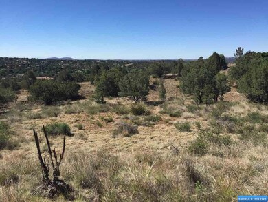 21 Antelope Run, Silver City, NM 88061 - photo 5