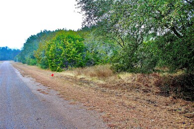 33043 Woodcrest Dr, Whitney, TX 76692 - photo 4