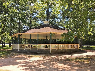 24680 Oak Hollow Blvd, Hockley, TX 77447 - photo 4