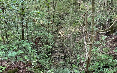 Additional View