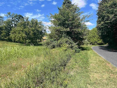 TBD Stagecoach Rd, Staunton, VA 24401 - photo 3