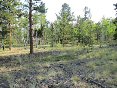 9798 Ranch Rd, Hartsel, CO 80449 - photo 7