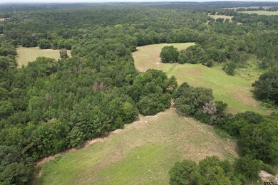 TBD Cr 2170, Grapeland, TX 75844 - photo 3