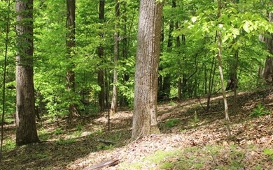 Additional View