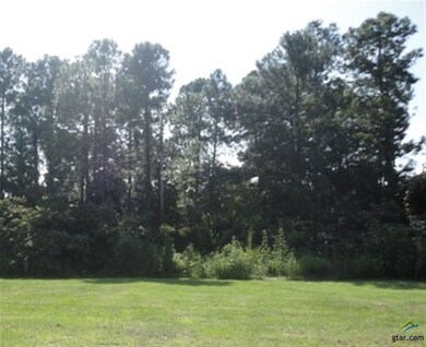 3710 Winding Way, Tyler, TX 75707 - photo 5