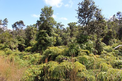 0 Nahelenani St unit 717910, Volcano, HI 96785 - photo 7