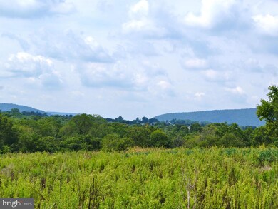 3726 Petersville Rd, Knoxville, MD 21758 - photo 7