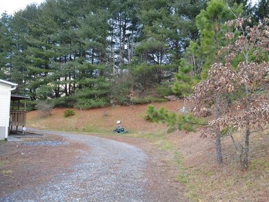 121 Jones Rd, Leicester, NC 28748 - photo 6