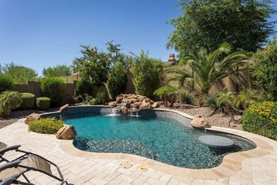 Backyard Oasis