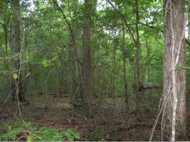 67.44 ac Cr 713, Nacogdoches, TX 75964 - photo 4